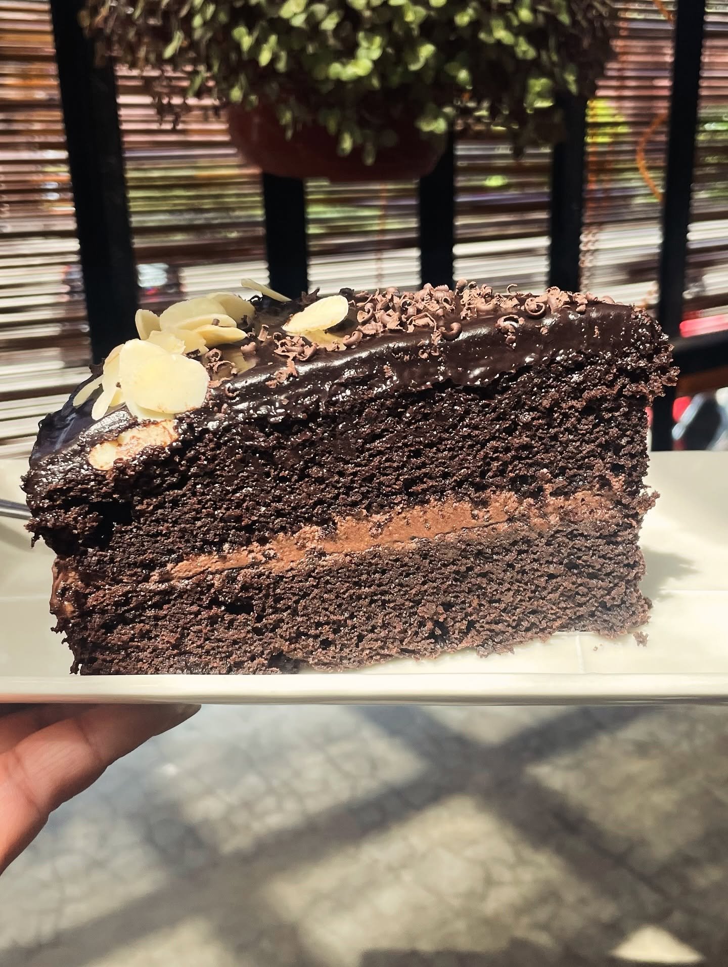 Chocolate Cake