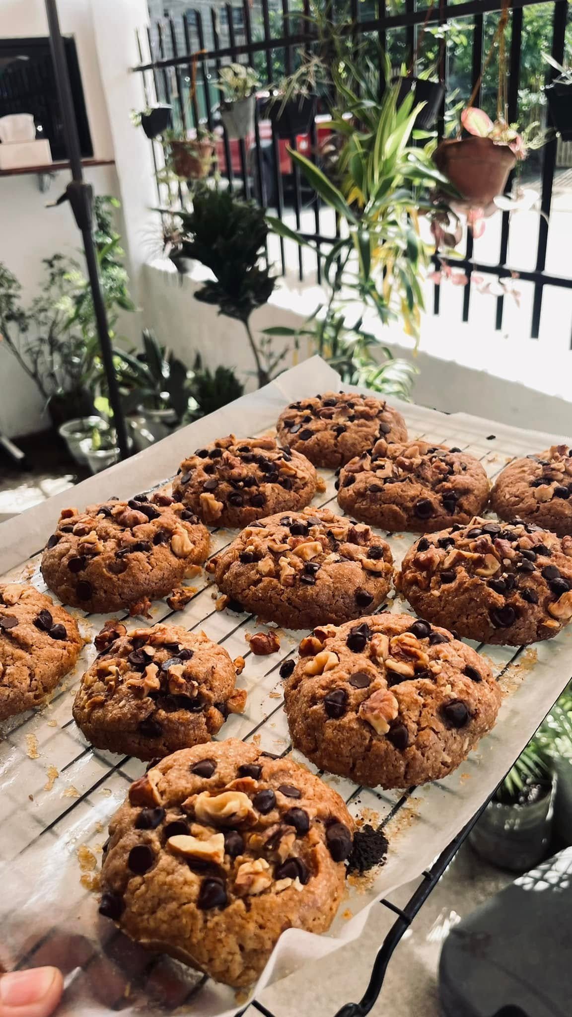 Chocolate Cookie