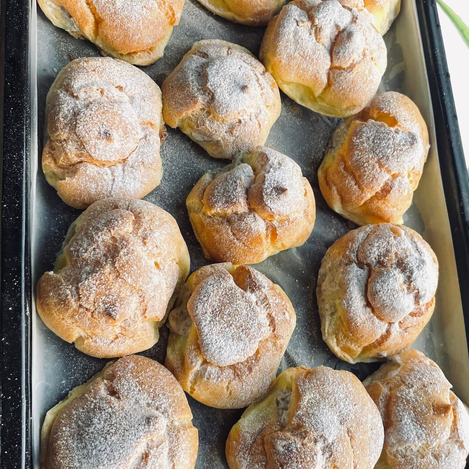 Cream Puff